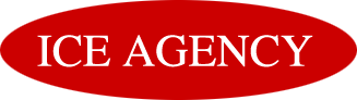 Ice Agency Logo