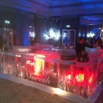 16 Metre Bollywood Ice Bar At Dorchester Hotel Event For Suresh Nanda Birthday