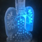 Lungs Ice Sculpture Vodka Ice Luge for Surrey Charity Event