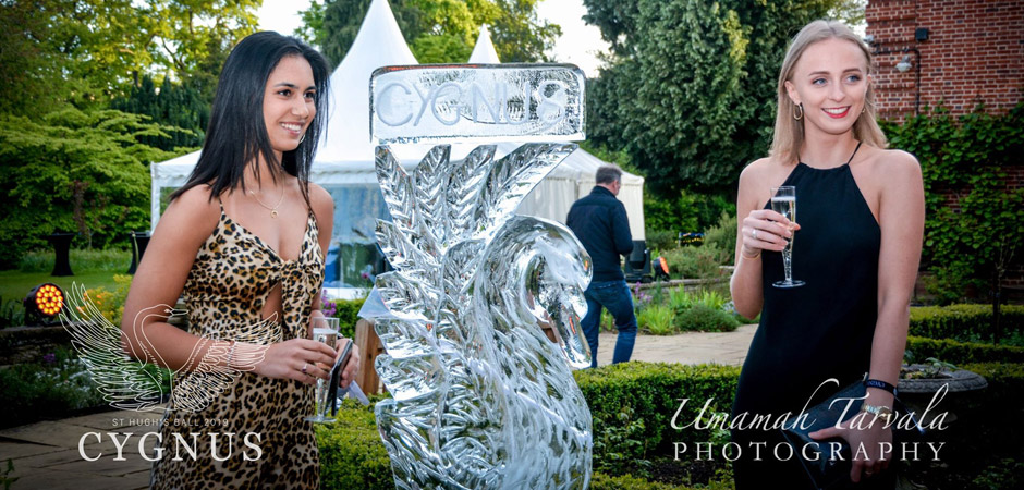 Brighton Ice Cube, Ice Luge & Chocolate Fountain Service