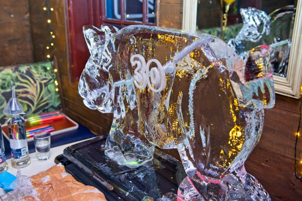 Flying Pig Ice Sculpture Vodka Ice Luge at Clapham Birthday Party