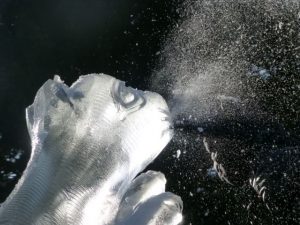 Live Ice Sculpture Carving for Worthing School Sussex