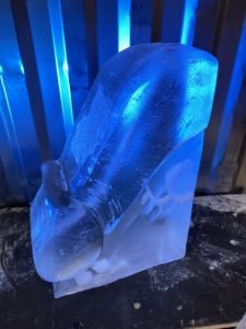 Chilly Willy Ice Luge Vodka Luge. Penis Ice Sculpture luge
