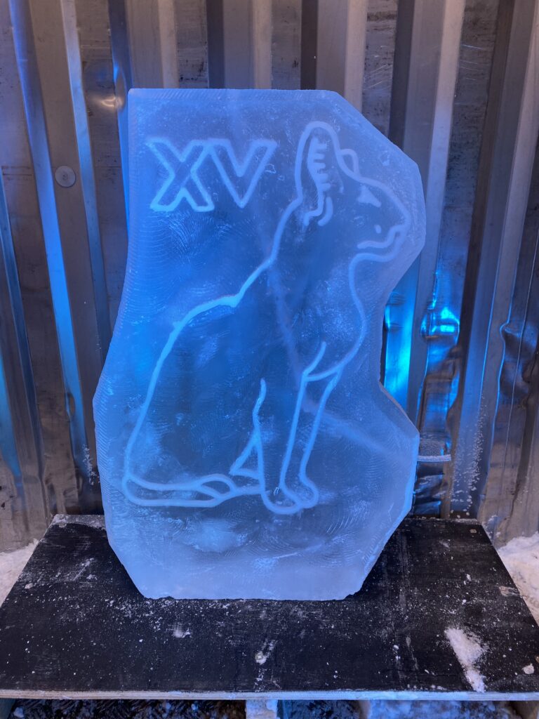 Cat ice luge, Cat ice sculpture