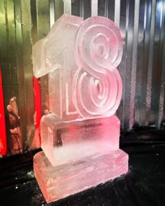 Party Vodka Luge 18