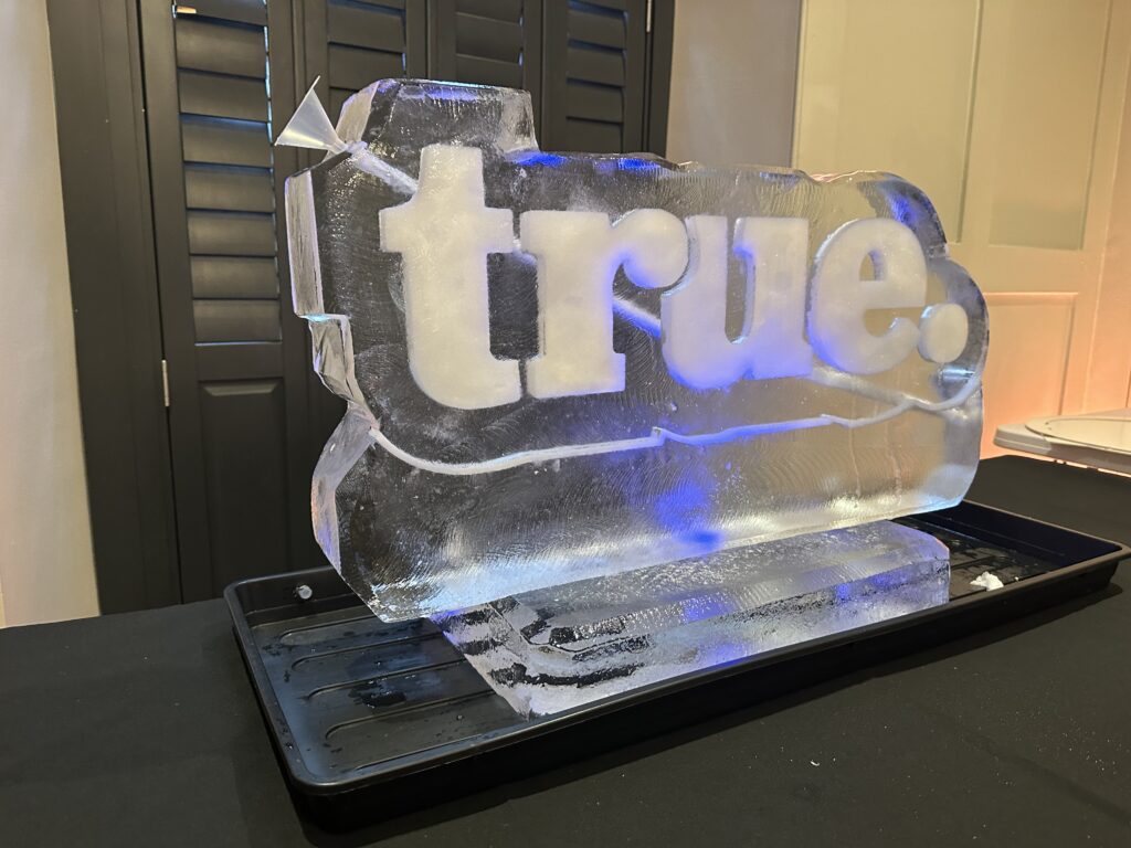 true digital ice sculpture at Bristol Clifton Observatory