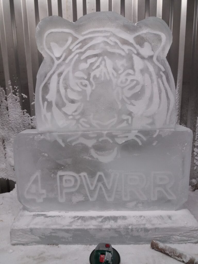 4 PWRR ice luge in Farnham