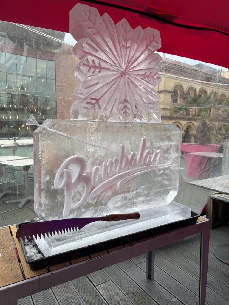 Bambalan ice luge in Bristol