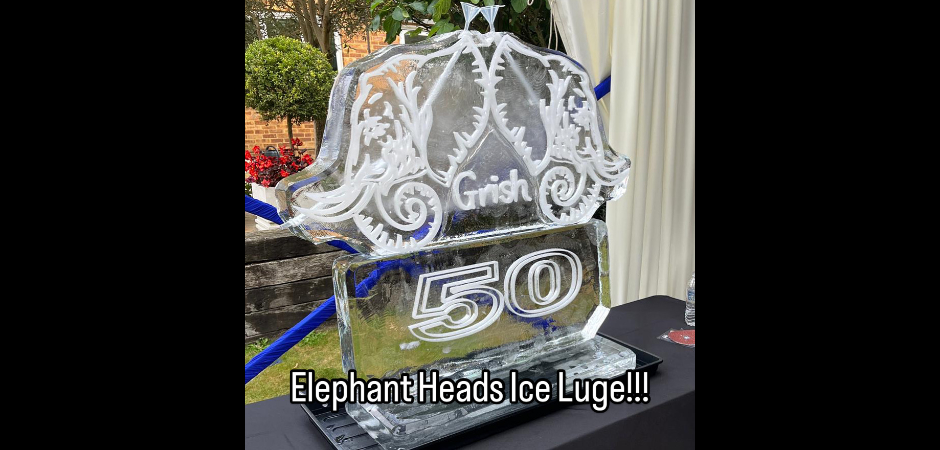 50th birthday vodka ice luge - Elephant heads ice luge